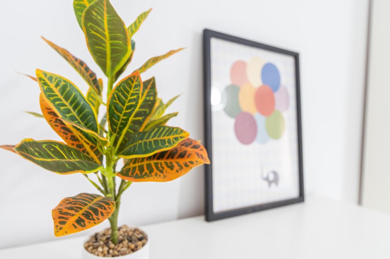 Apartamento Cadiz Be Kind Ngoại thất bức ảnh